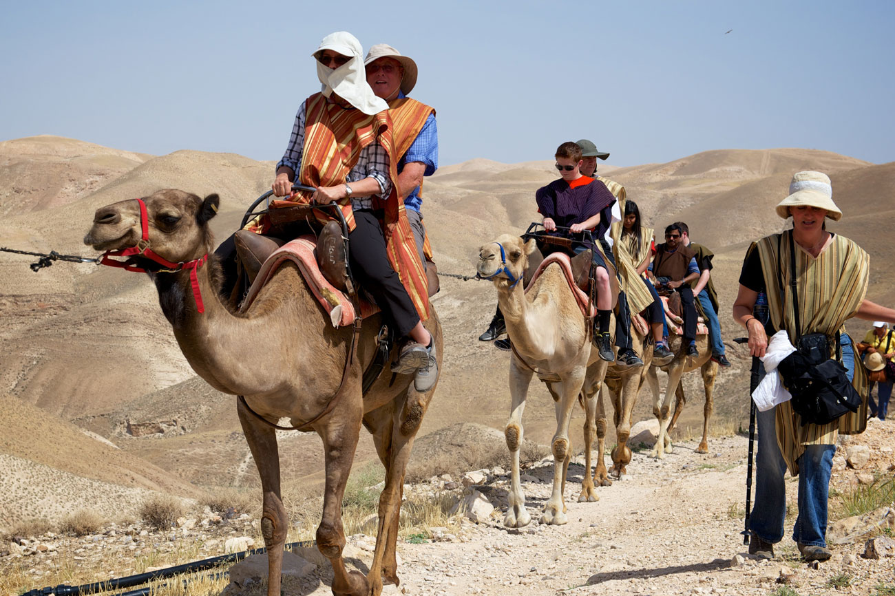 camels-ride-01