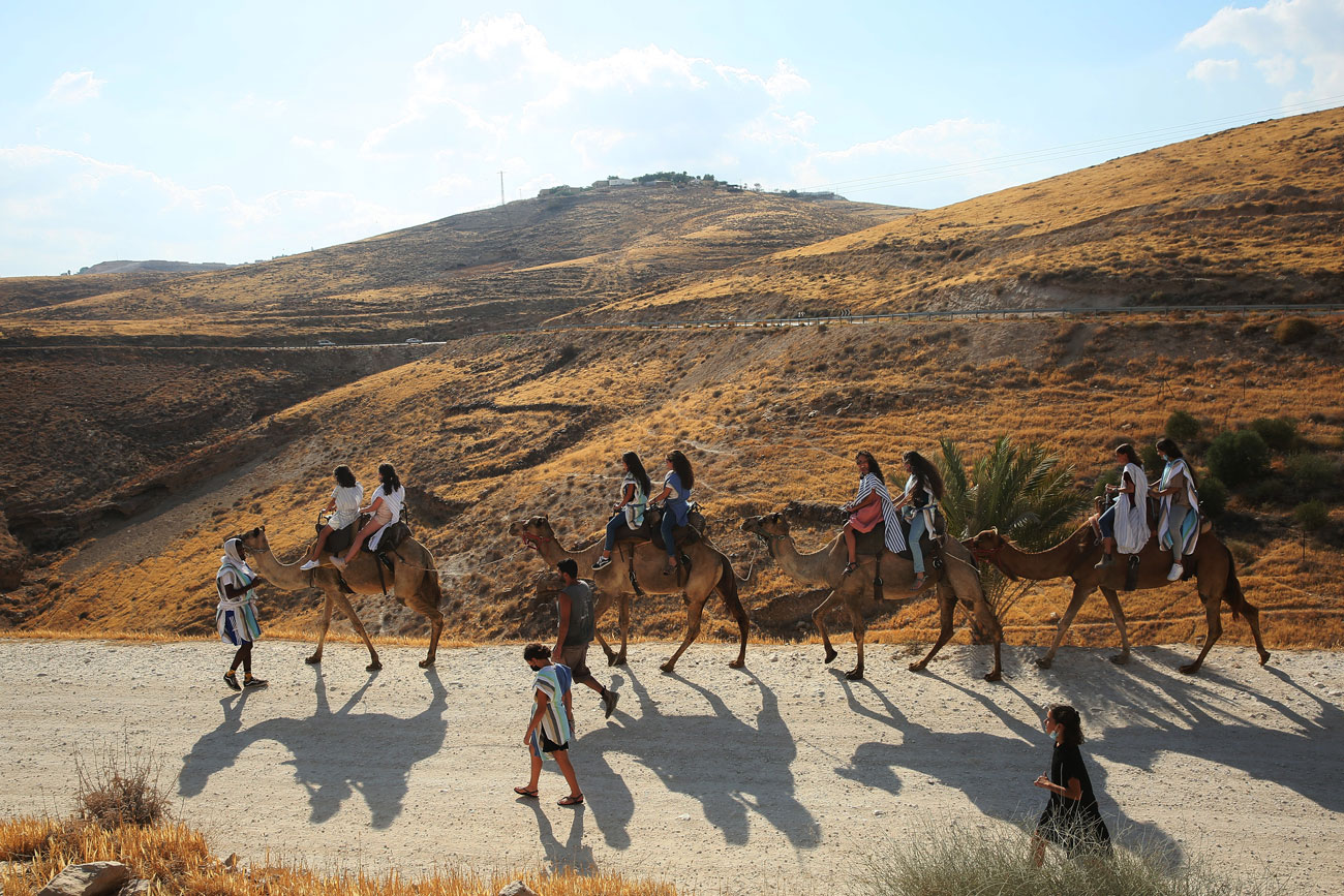 camels-ride-02