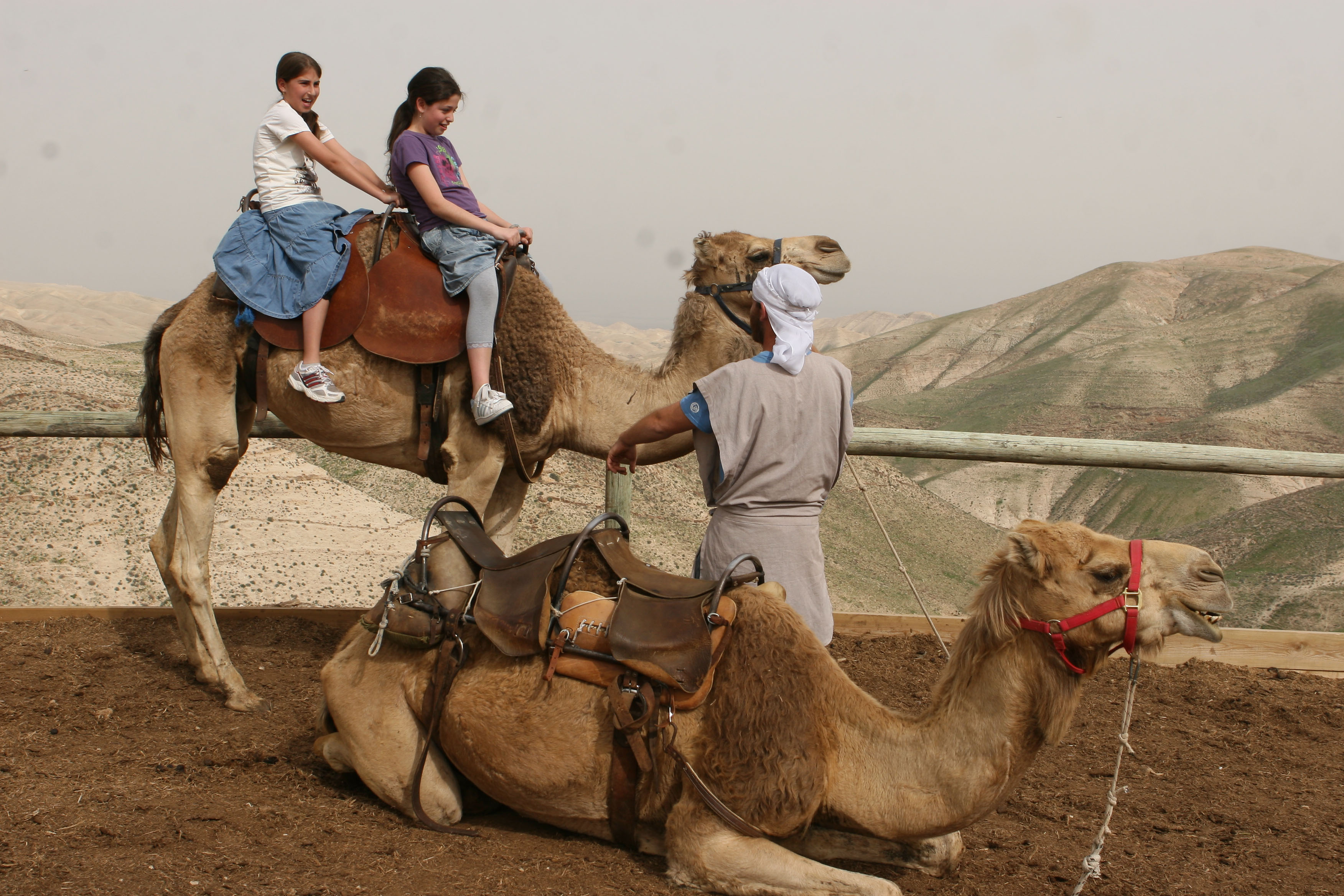 Holy Land tour