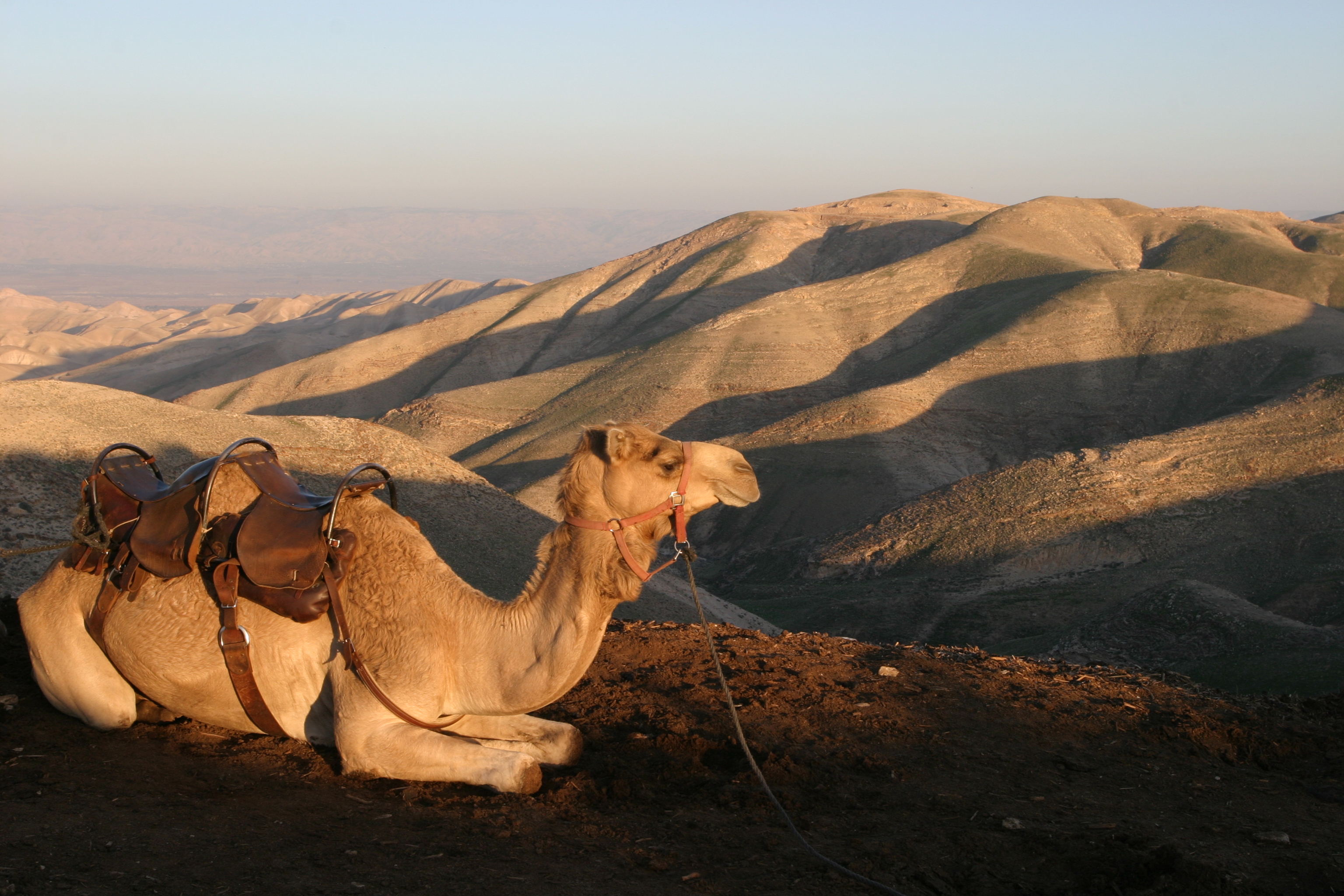 Desert Camping