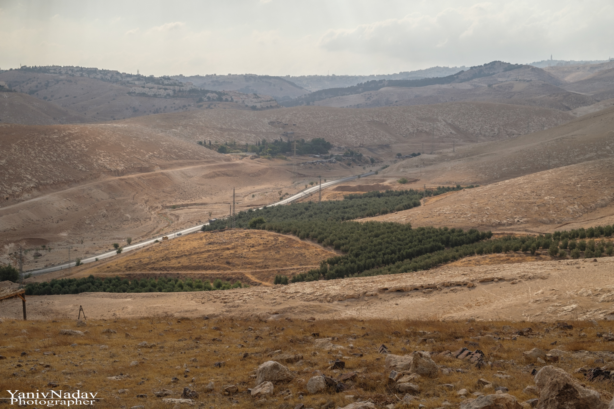סיור בבית הבד כרמא וטעימות שמן זית