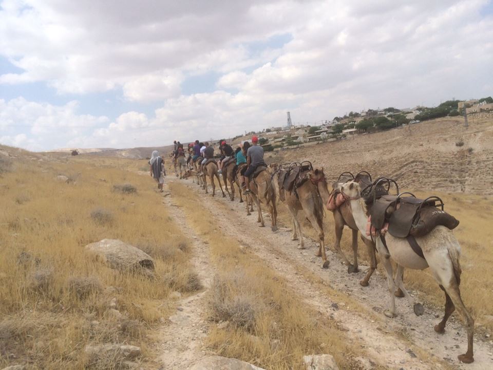 פעילות ODT - אורחות מדבר